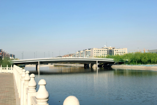 綠柳河岸