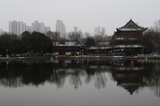 興慶湖冬景