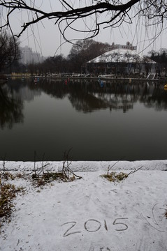 興慶湖冬景