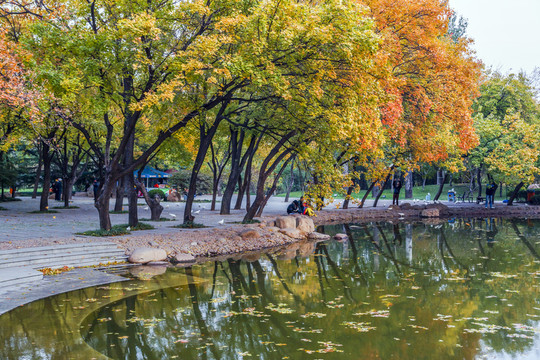 公園秋色