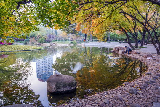 公園秋色
