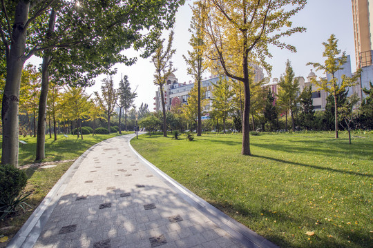 公園