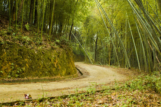 山路彎彎