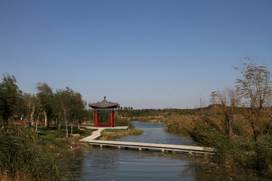 馬踏湖風(fēng)光