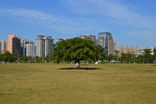城市公園