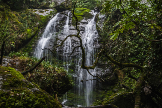 瓦屋山 原始森林瀑布