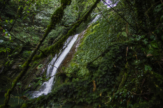 瓦屋山原始森林飛瀑