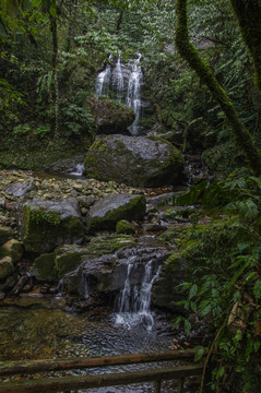 瓦屋山原始森林