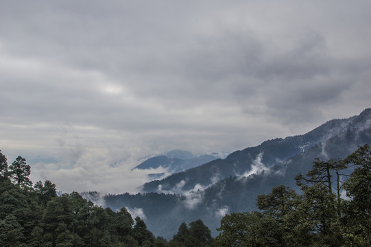 洪雅 瓦屋山原始森林風(fēng)光