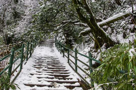 瓦屋山國(guó)家森林公園