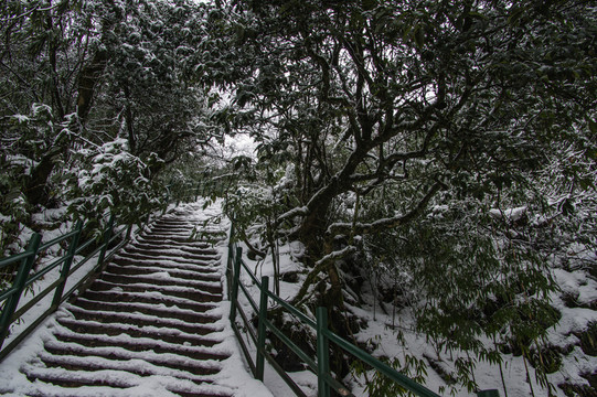 洪雅瓦屋山原始森林