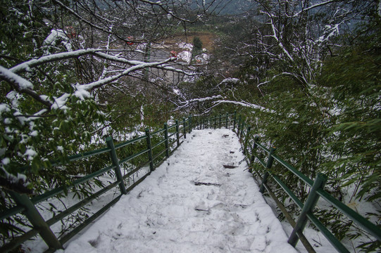 洪雅瓦屋山國家森林公園
