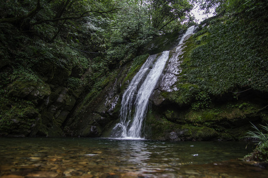 洪雅瓦屋山 原始森林