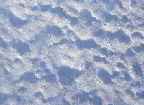 雪地 雪 紋理 素材
