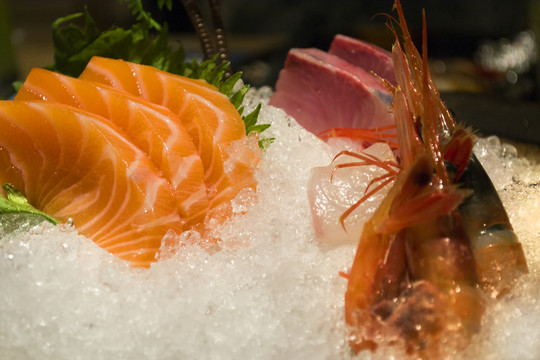 日本料理 刺身 海產(chǎn) 日本文化