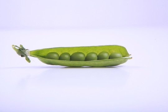荷蘭豆