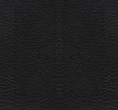 皮紋