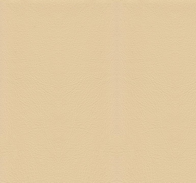 皮紋