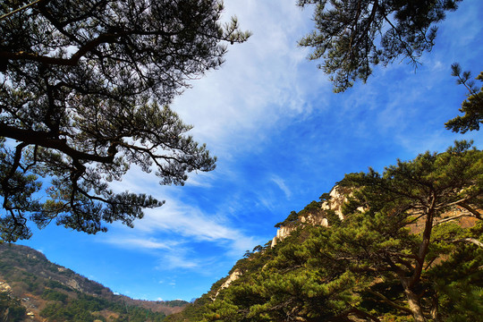 泰山風(fēng)光