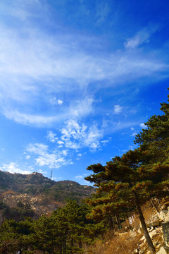 泰山風(fēng)光