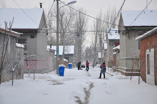 掃雪