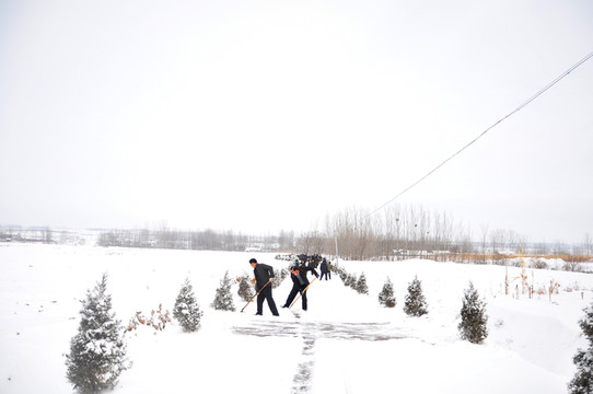 掃雪