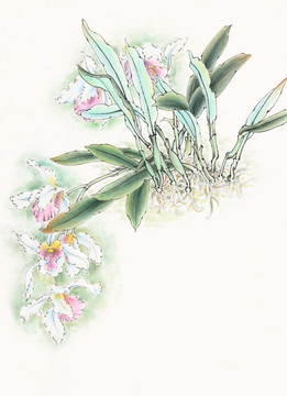 原創(chuàng) 國畫 石上馨香 石斛蘭