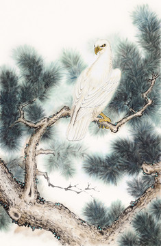 原創(chuàng) 國畫 高瞻遠矚 松鷹