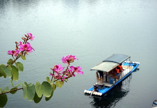 小花