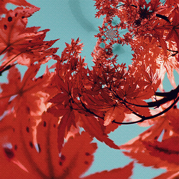 風(fēng)景畫 裝飾畫
