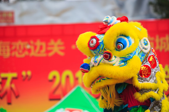 舞獅子 龍獅表演