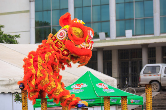 舞獅子 龍獅表演