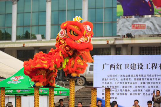 舞獅子 龍獅表演