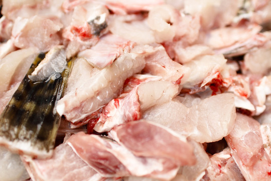 魚肉塊