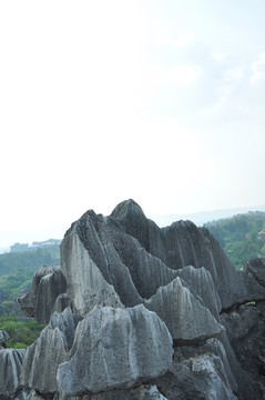 石林景區(qū)