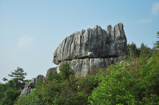 石林