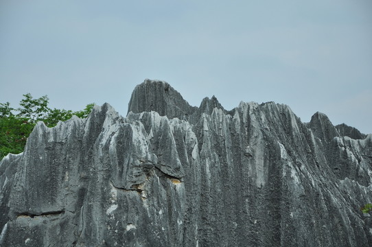 石林
