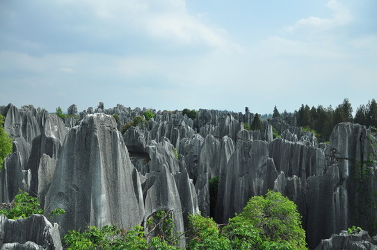 石林