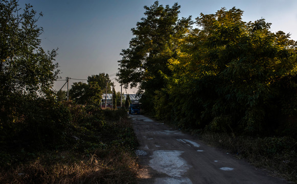 林間小路
