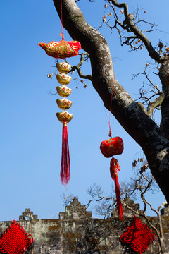 發(fā)財樹中國結