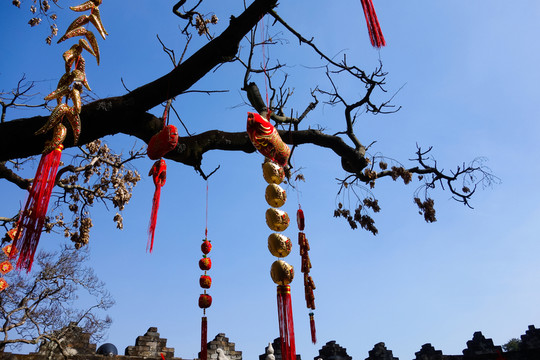 發(fā)財樹中國結