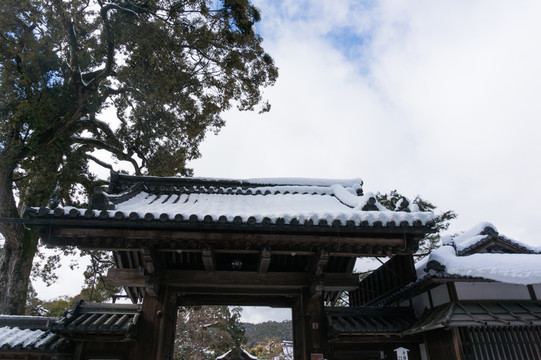 日本鹿苑寺建筑景觀