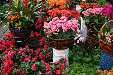 花叢 花海