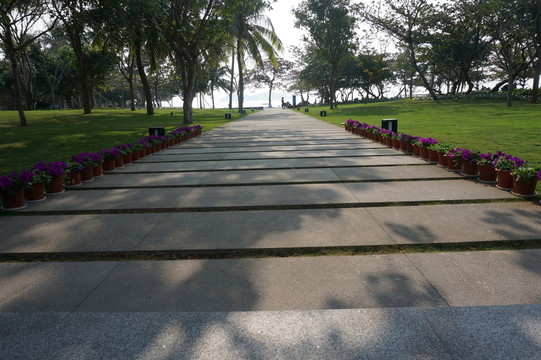路