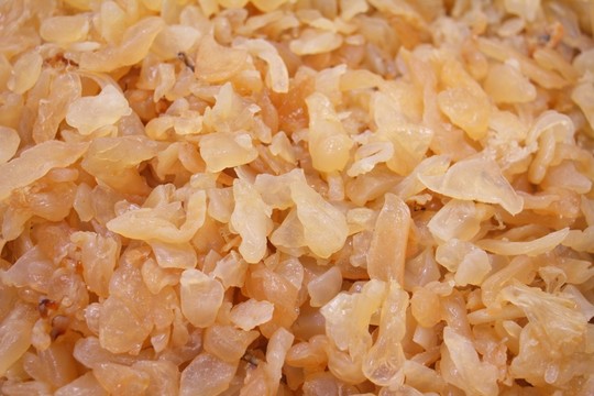 海蜇 海鮮 海洋類食品