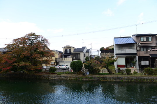 日本