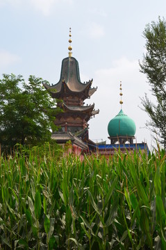 清真寺外景