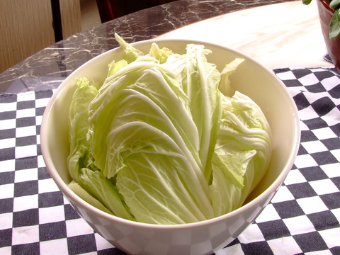 白菜 大白菜