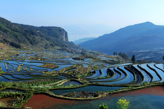 元陽(yáng)普高老寨梯田