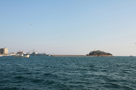 青島小青島